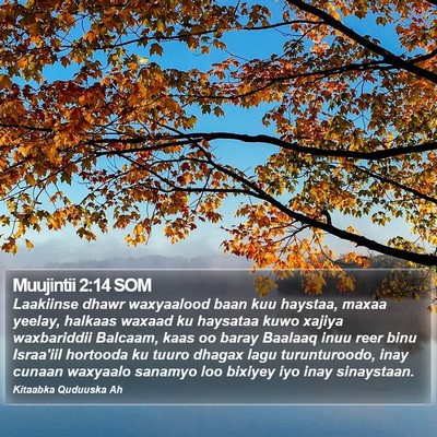 Muujintii 2:14 SOM Bible Verse Image