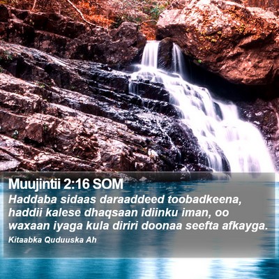Muujintii 2:16 SOM Bible Verse Image