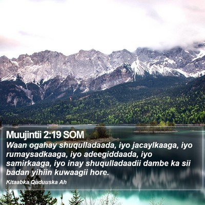 Muujintii 2:19 SOM Bible Verse Image