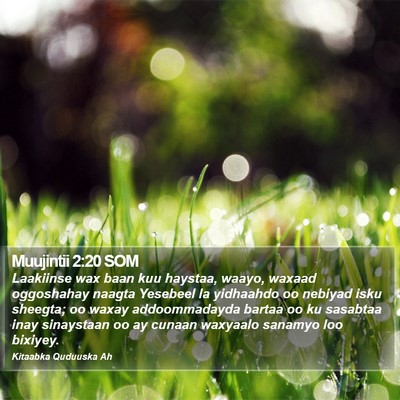 Muujintii 2:20 SOM Bible Verse Image