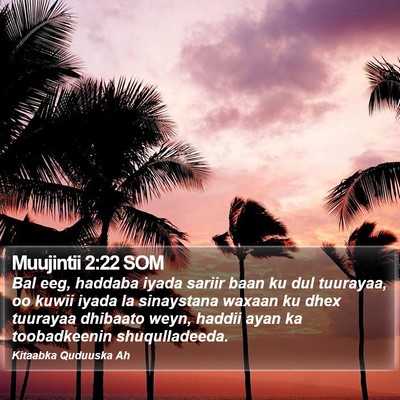 Muujintii 2:22 SOM Bible Verse Image
