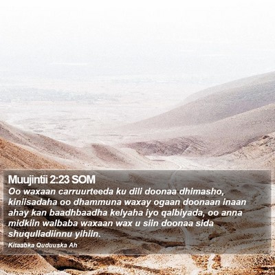 Muujintii 2:23 SOM Bible Verse Image