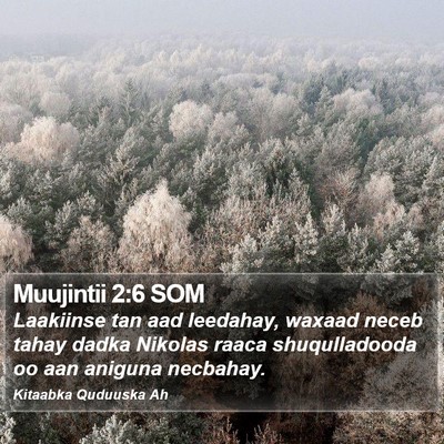 Muujintii 2:6 SOM Bible Verse Image