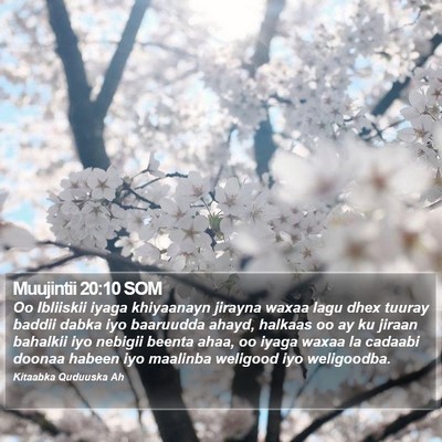 Muujintii 20:10 SOM Bible Verse Image