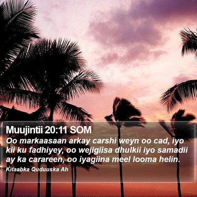 Muujintii 20:11 SOM Bible Verse Image