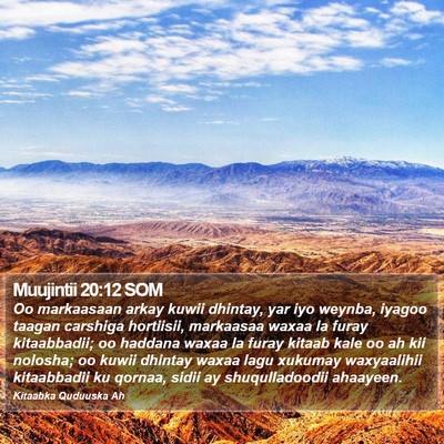 Muujintii 20:12 SOM Bible Verse Image