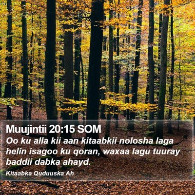 Muujintii 20:15 SOM Bible Verse Image