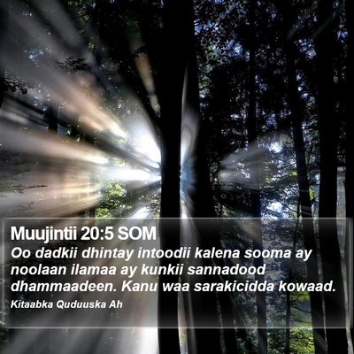 Muujintii 20:5 SOM Bible Verse Image