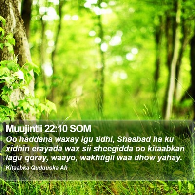 Muujintii 22:10 SOM Bible Verse Image