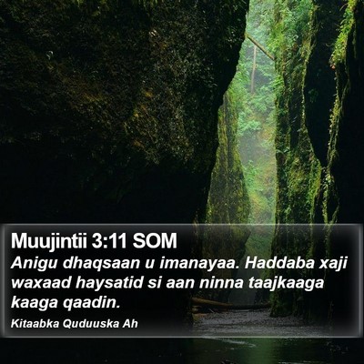 Muujintii 3:11 SOM Bible Verse Image