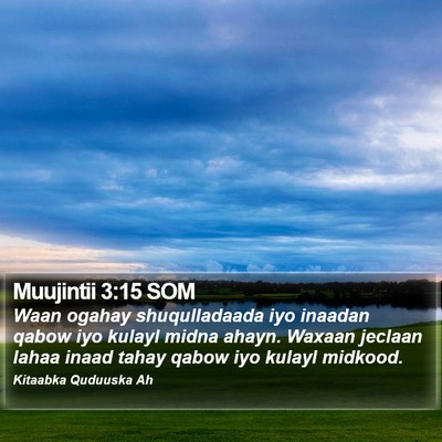 Muujintii 3:15 SOM Bible Verse Image