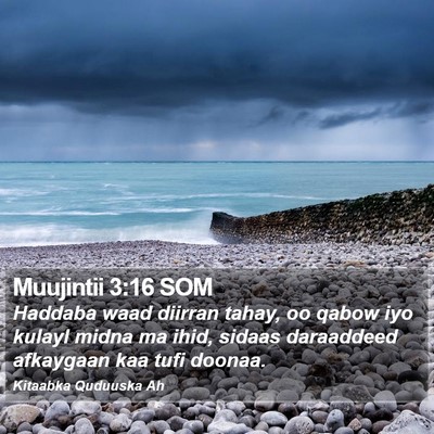 Muujintii 3:16 SOM Bible Verse Image