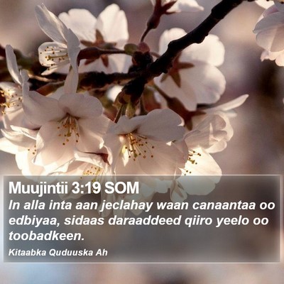 Muujintii 3:19 SOM Bible Verse Image