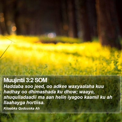 Muujintii 3:2 SOM Bible Verse Image