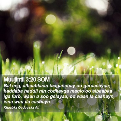 Muujintii 3:20 SOM Bible Verse Image