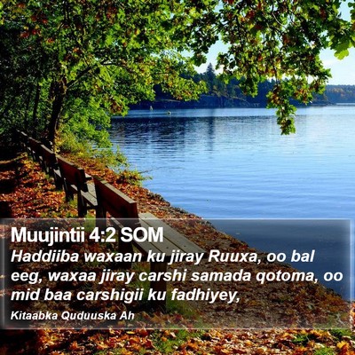 Muujintii 4:2 SOM Bible Verse Image