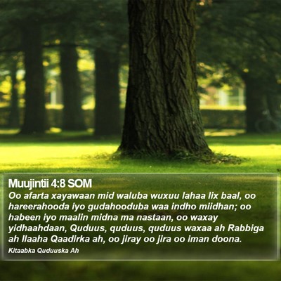 Muujintii 4:8 SOM Bible Verse Image