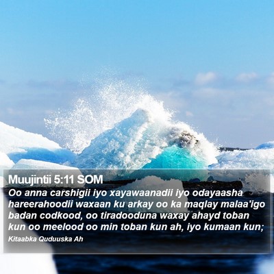 Muujintii 5:11 SOM Bible Verse Image