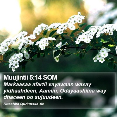 Muujintii 5:14 SOM Bible Verse Image