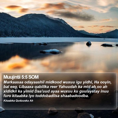 Muujintii 5:5 SOM Bible Verse Image