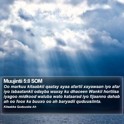 Muujintii 5:8 SOM Bible Verse Image