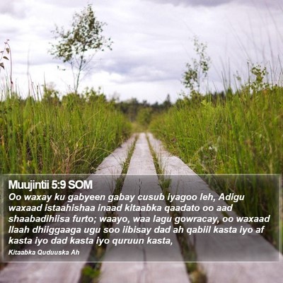 Muujintii 5:9 SOM Bible Verse Image