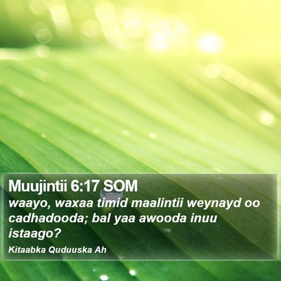 Muujintii 6:17 SOM Bible Verse Image