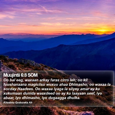 Muujintii 6:8 SOM Bible Verse Image
