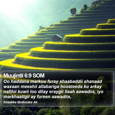 Muujintii 6:9 SOM Bible Verse Image
