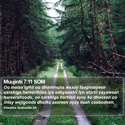 Muujintii 7:11 SOM Bible Verse Image