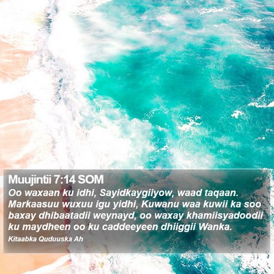 Muujintii 7:14 SOM Bible Verse Image