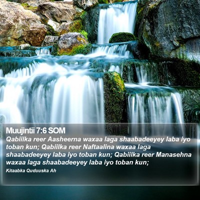 Muujintii 7:6 SOM Bible Verse Image