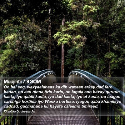 Muujintii 7:9 SOM Bible Verse Image