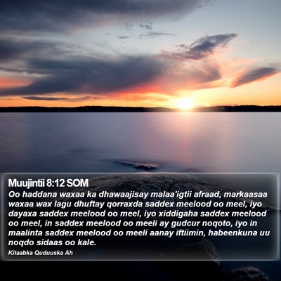 Muujintii 8:12 SOM Bible Verse Image