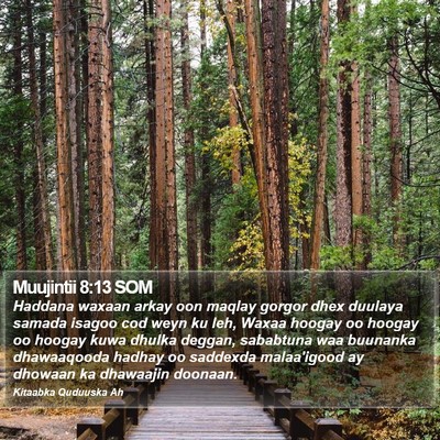 Muujintii 8:13 SOM Bible Verse Image