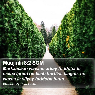 Muujintii 8:2 SOM Bible Verse Image