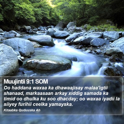Muujintii 9:1 SOM Bible Verse Image