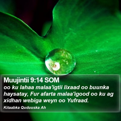 Muujintii 9:14 SOM Bible Verse Image
