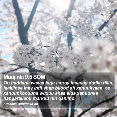 Muujintii 9:5 SOM Bible Verse Image