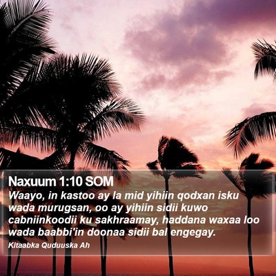 Naxuum 1:10 SOM Bible Verse Image