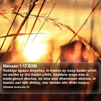 Naxuum 1:12 SOM Bible Verse Image