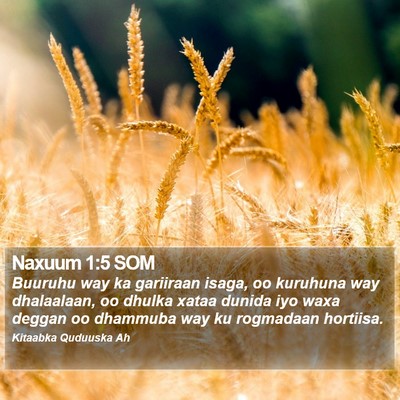 Naxuum 1:5 SOM Bible Verse Image