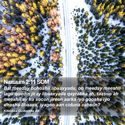 Naxuum 2:11 SOM Bible Verse Image