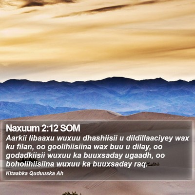 Naxuum 2:12 SOM Bible Verse Image