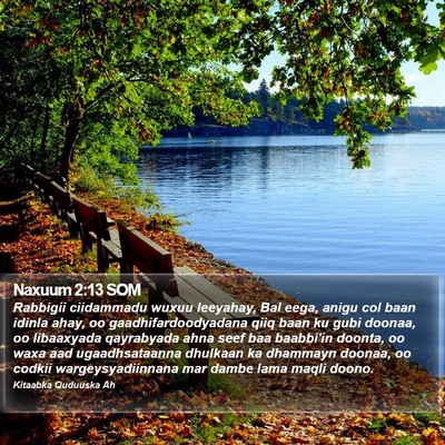 Naxuum 2:13 SOM Bible Verse Image