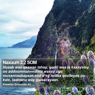 Naxuum 2:7 SOM Bible Verse Image