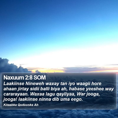 Naxuum 2:8 SOM Bible Verse Image