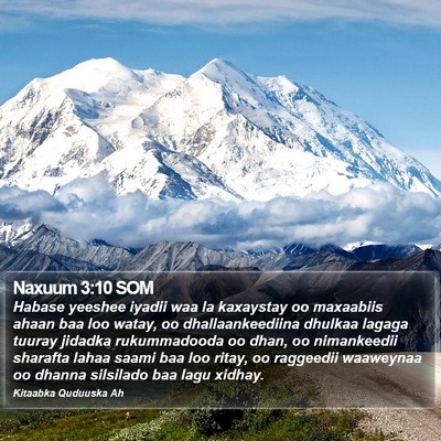 Naxuum 3:10 SOM Bible Verse Image