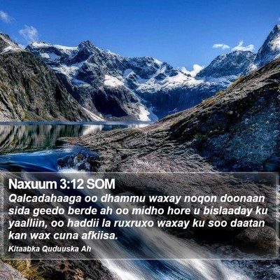 Naxuum 3:12 SOM Bible Verse Image
