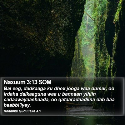 Naxuum 3:13 SOM Bible Verse Image